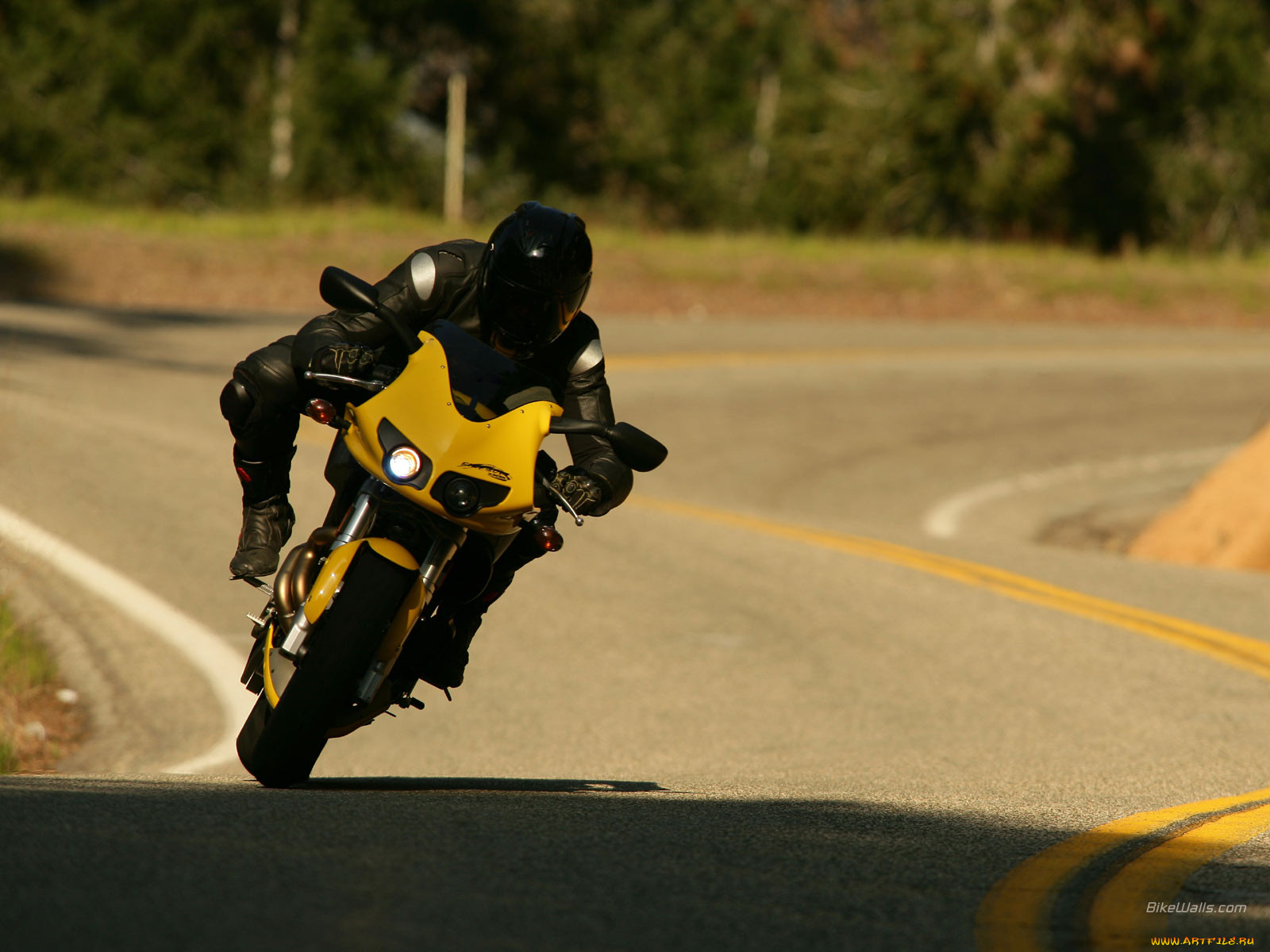 , buell